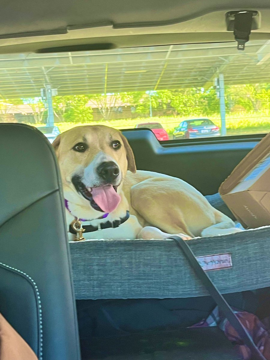 ShutupAngel 🔪 tweet media