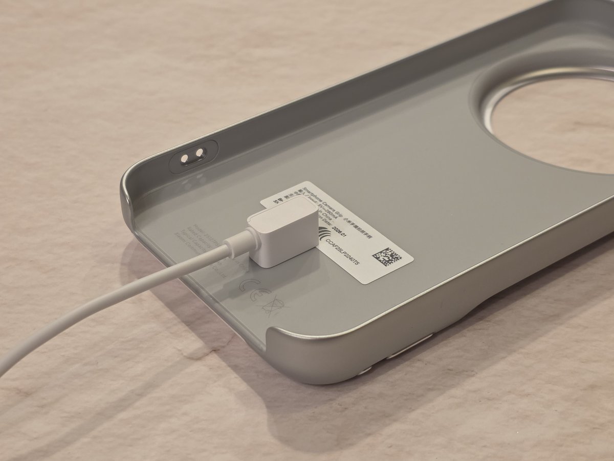 ACCN｜矢崎飛鳥 tweet media