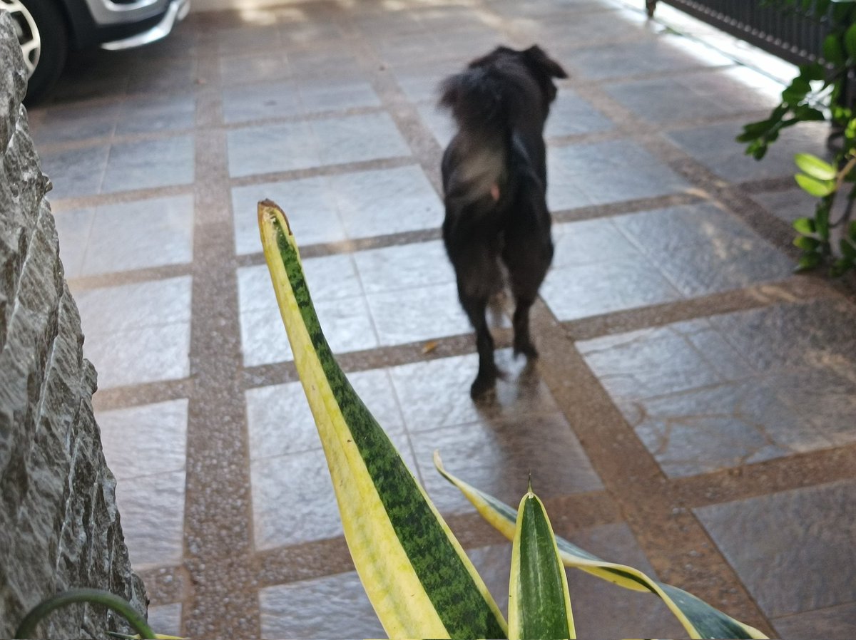 ardi 🍃 tweet media