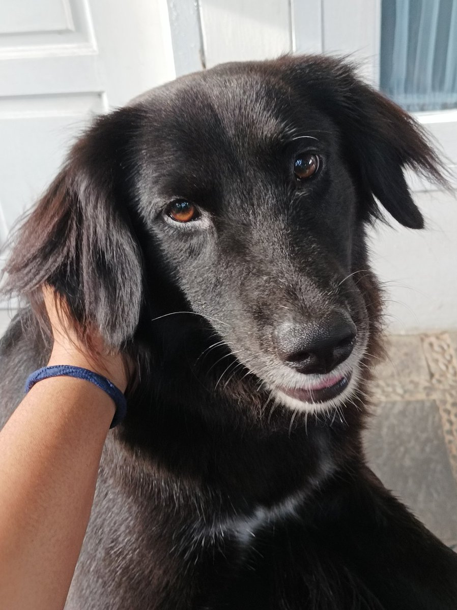 ardi 🍃 tweet media