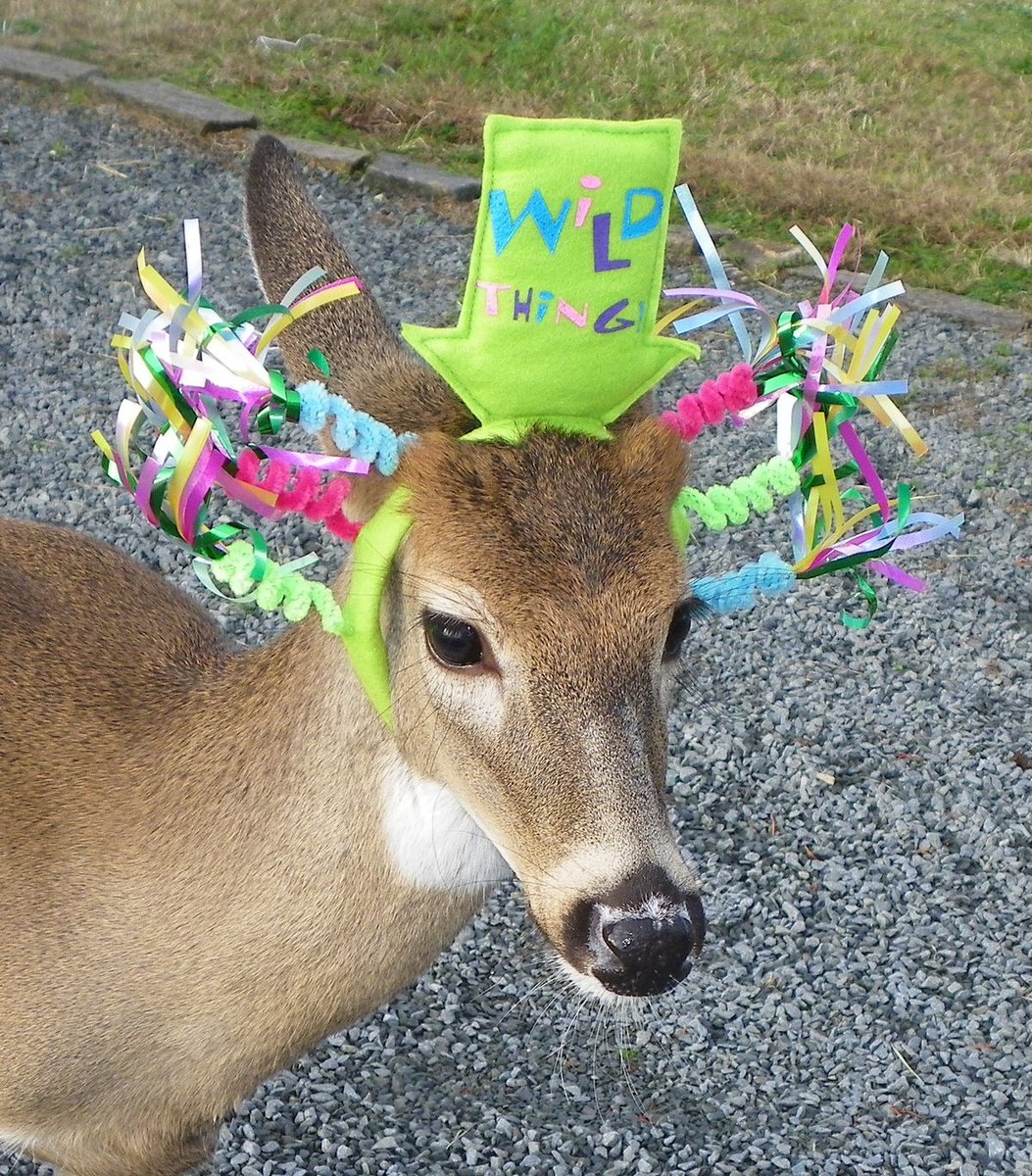 John fawn tweet media