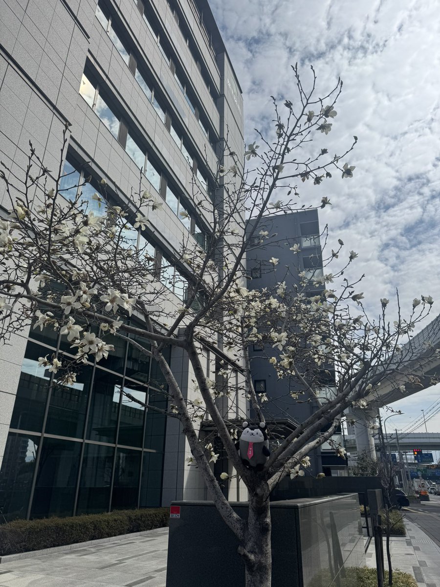 井藤漢方製薬【公式】 tweet media