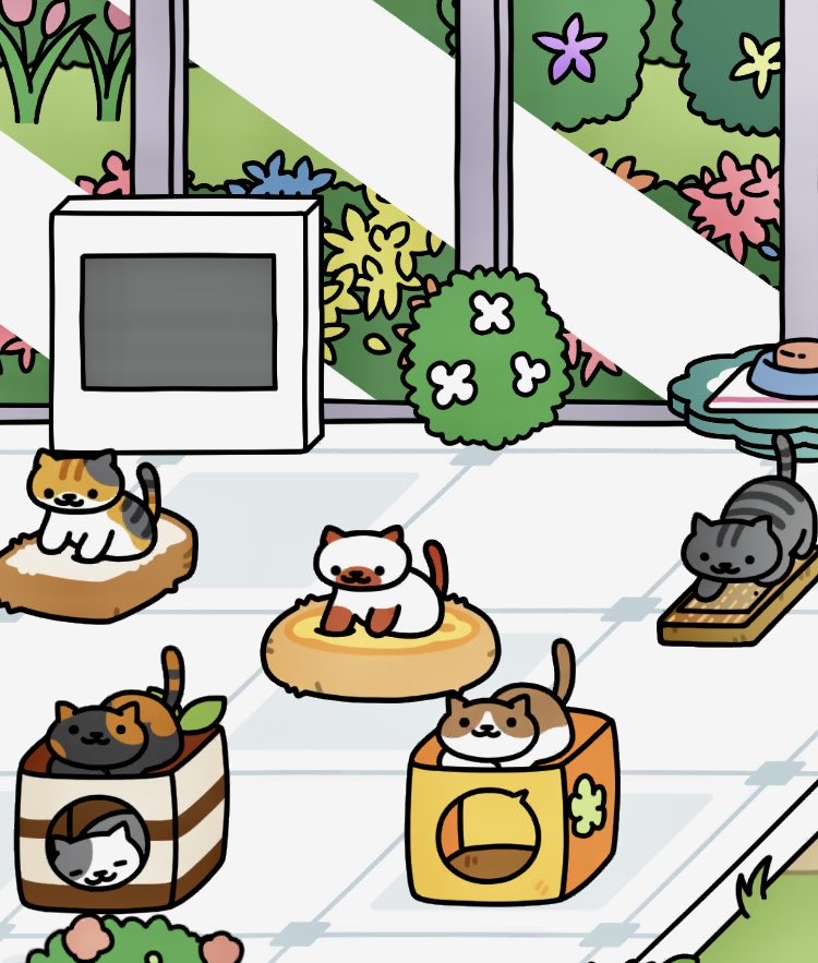 サラダ tweet media