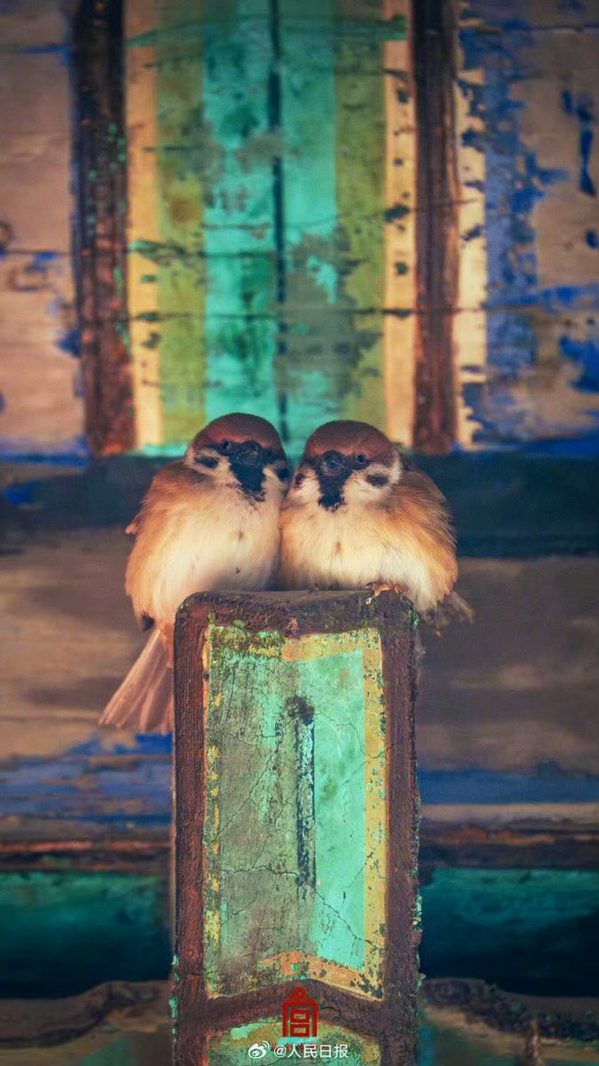 中華人民共和国駐日本国大使館 tweet media