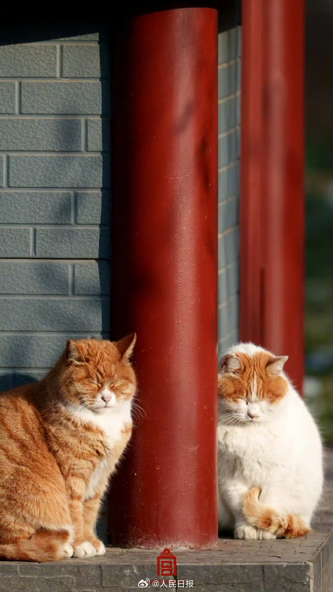 中華人民共和国駐日本国大使館 tweet media