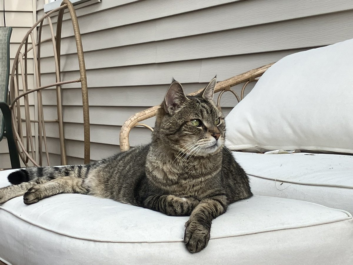 Angela Rachael tweet media