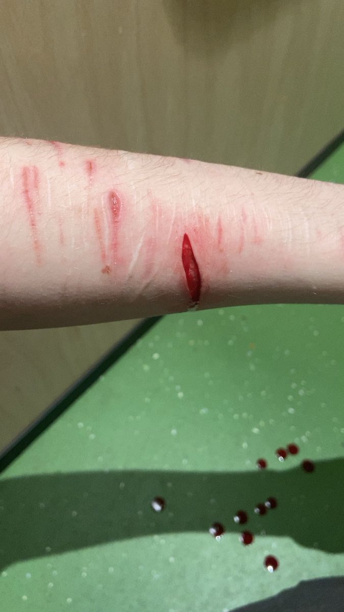 Nova | SHTWT tweet media