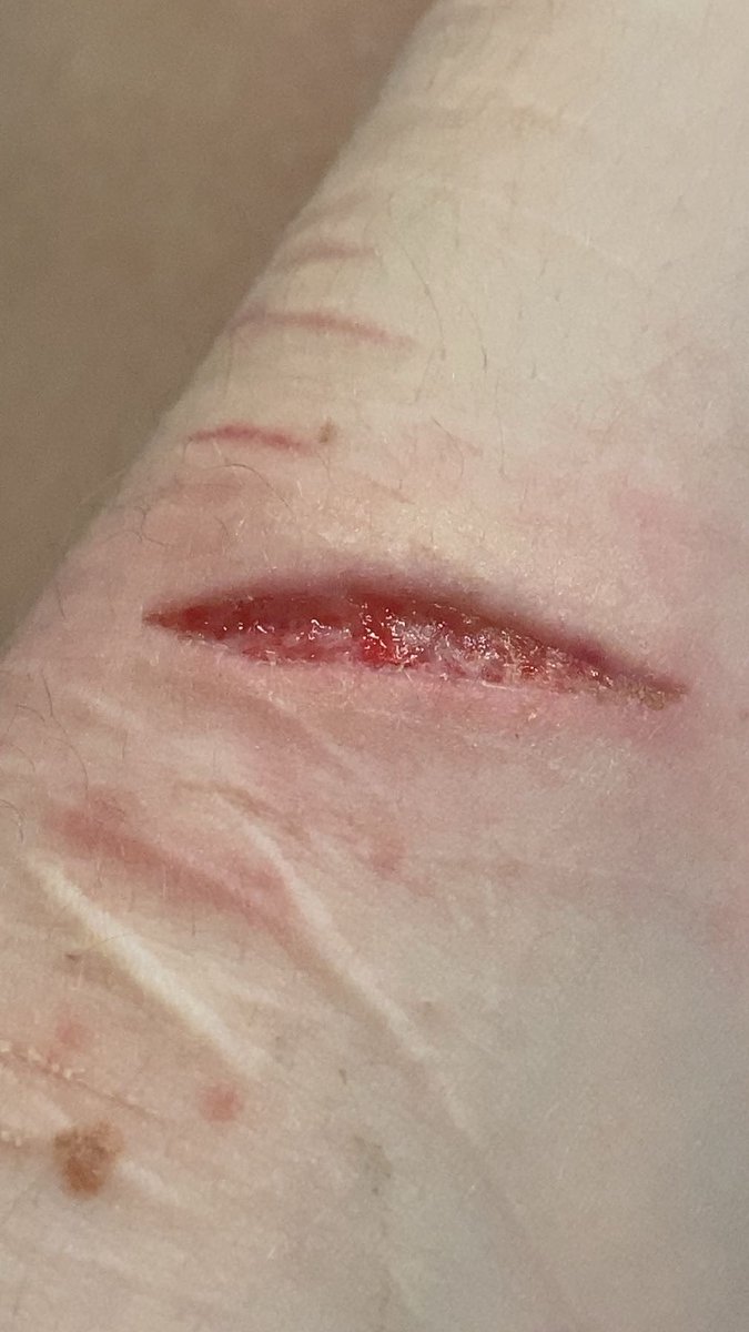 Nova | SHTWT tweet media