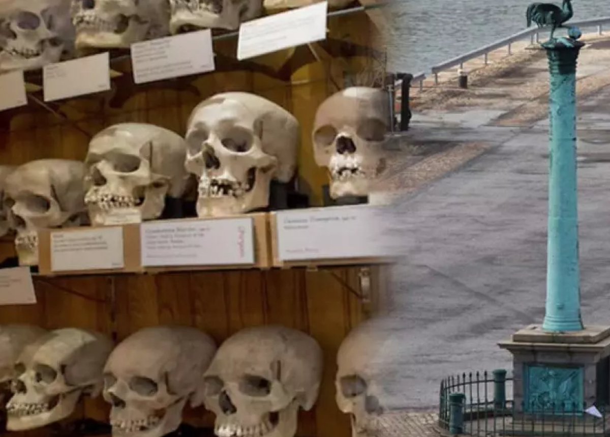 Maria Moori tweet media