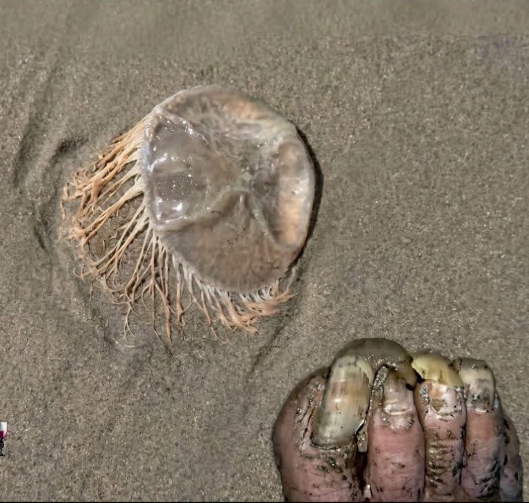 pequeño granuja 🦅 tweet media