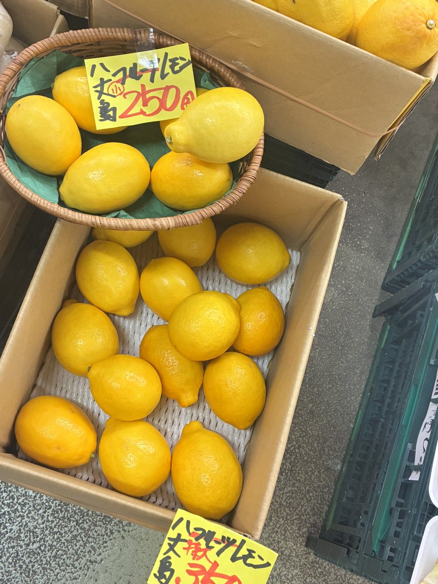 あきた市民市場メイト tweet media