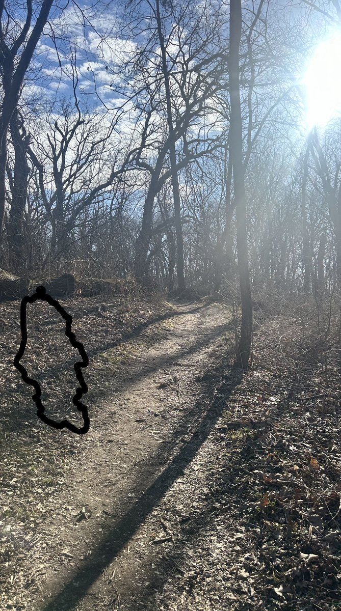 BTapintofitness's tweet photo. The weather was not great so I went to some more sheltered trails for my long run and knocked out 16 miles on the trails! Freezing cold by the end but had a really good #sundaylongrun ✅🏃🏼♀️➡️
As a reminder; only have 9 days to finish fundraising for Team @NoStigmas ‼️💚 https://t.co/1olDifQDTW