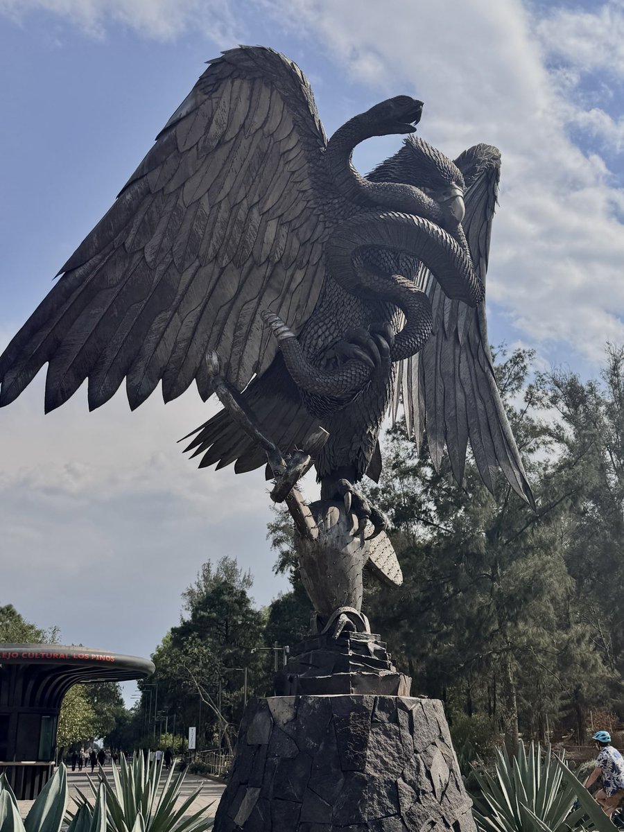 María De Haas tweet media