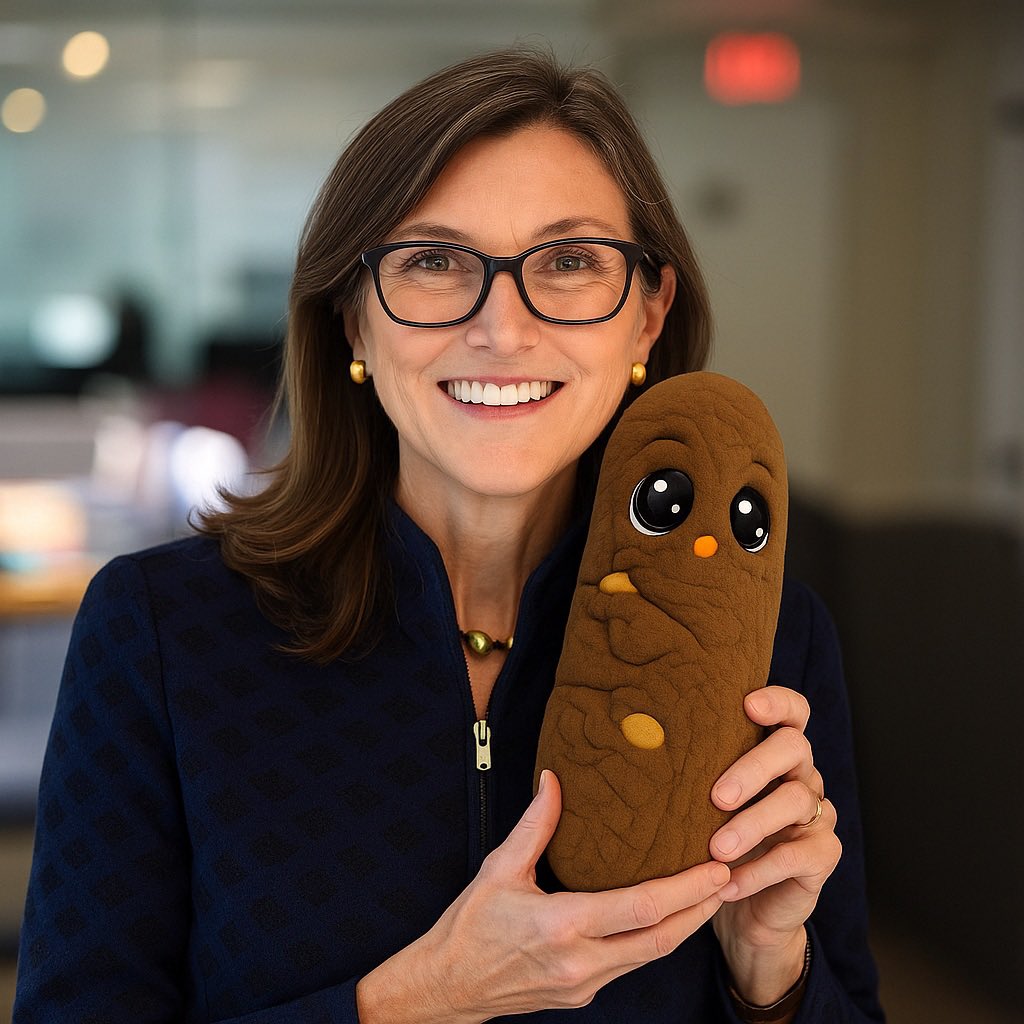 Memesbok (Poop Arc) tweet media