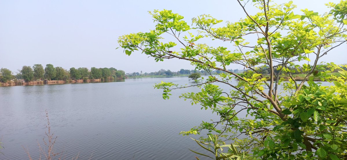 Impactful Insights tweet media