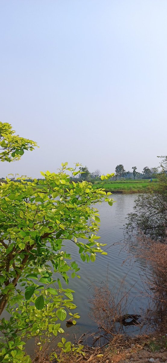 Impactful Insights tweet media