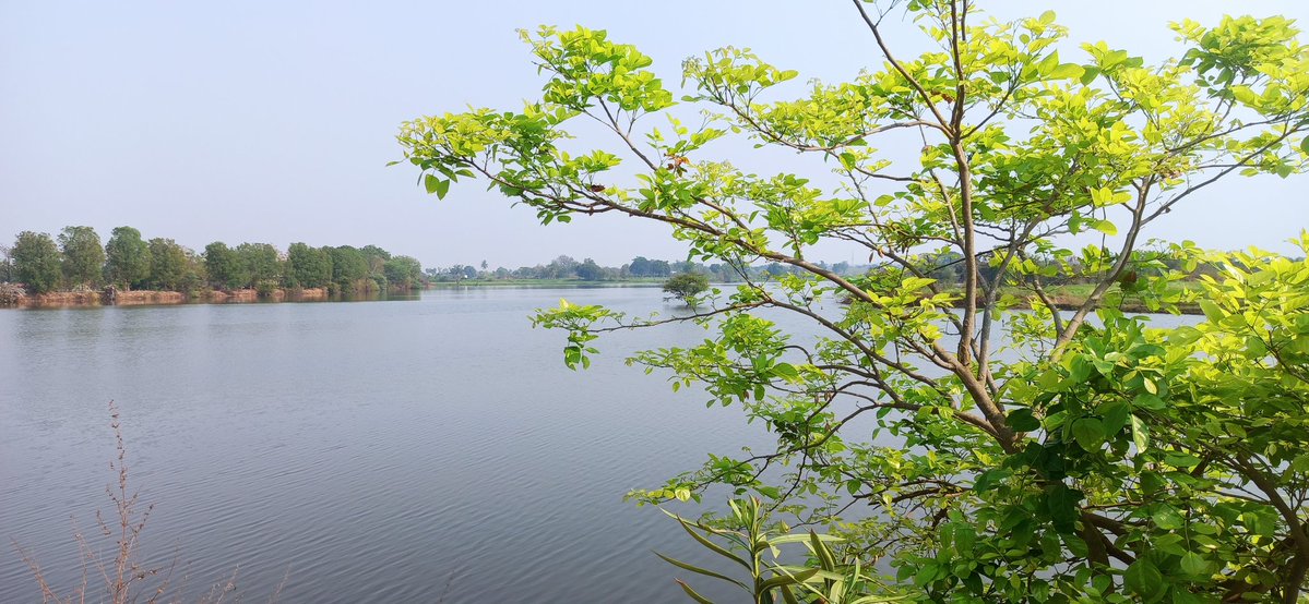 Impactful Insights tweet media