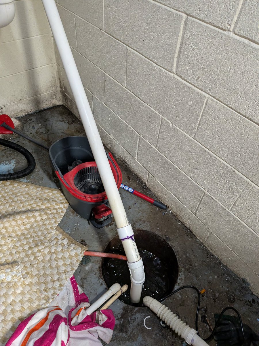 solar 🇵🇸 tweet media