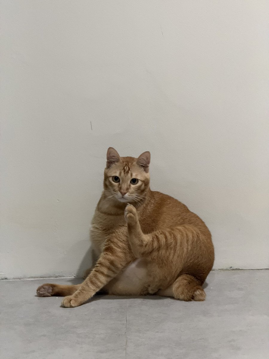 Simba Saekkiya tweet media