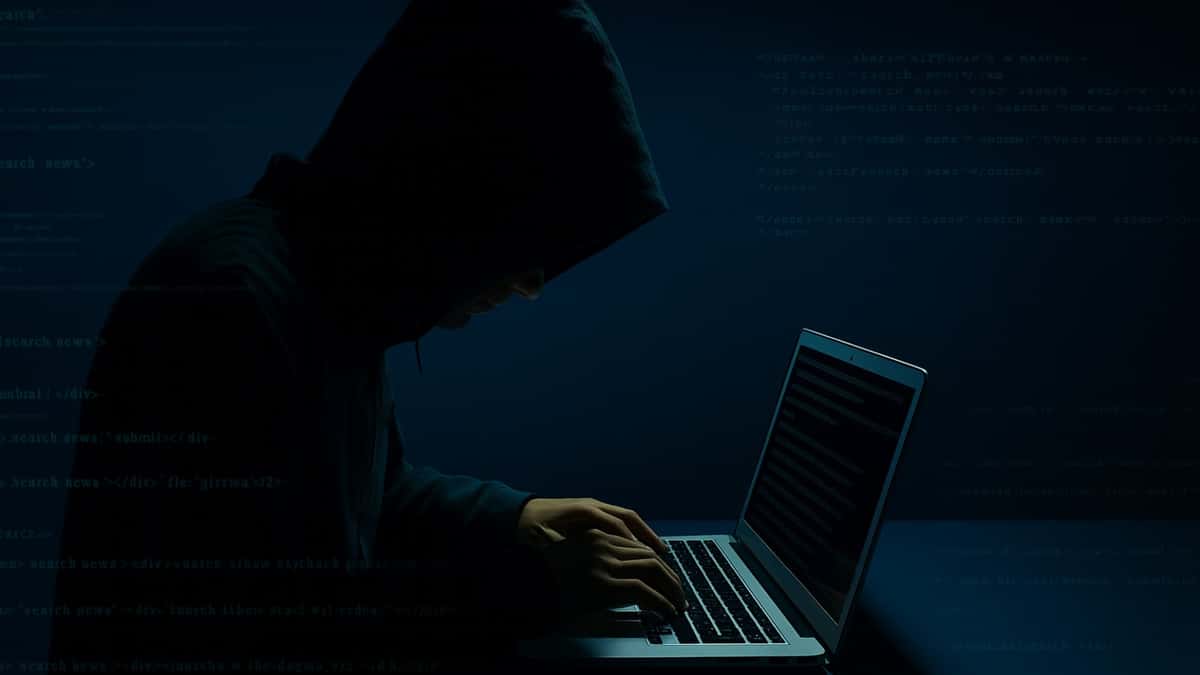 Anime Updates tweet media