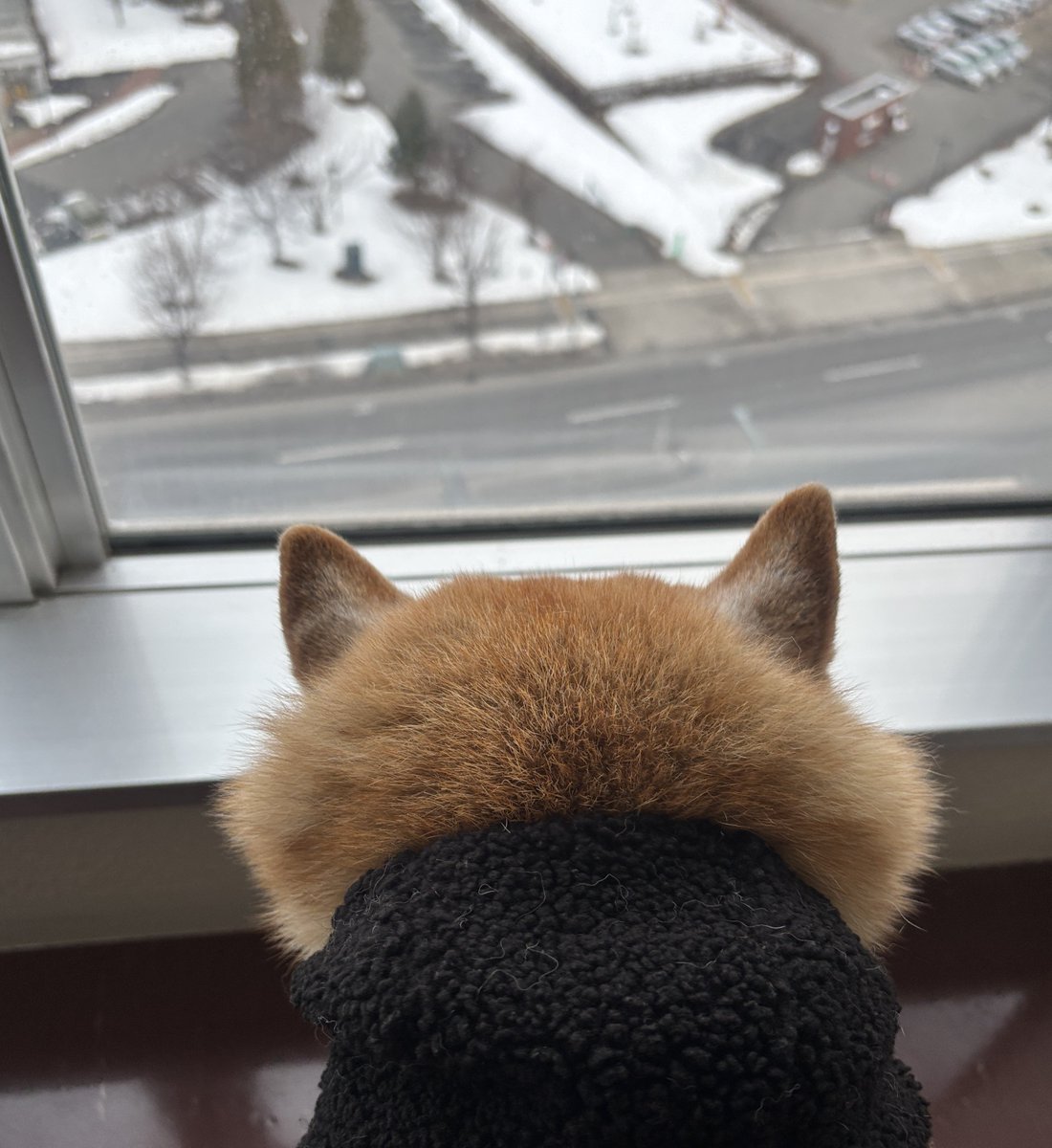 Koonie & Yuta tweet media