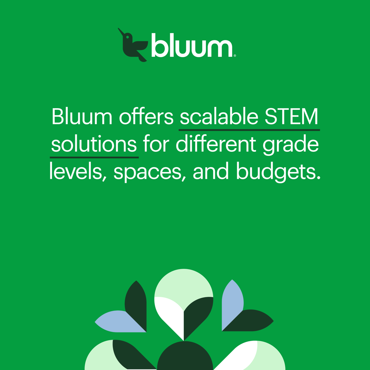 Bluum tweet media