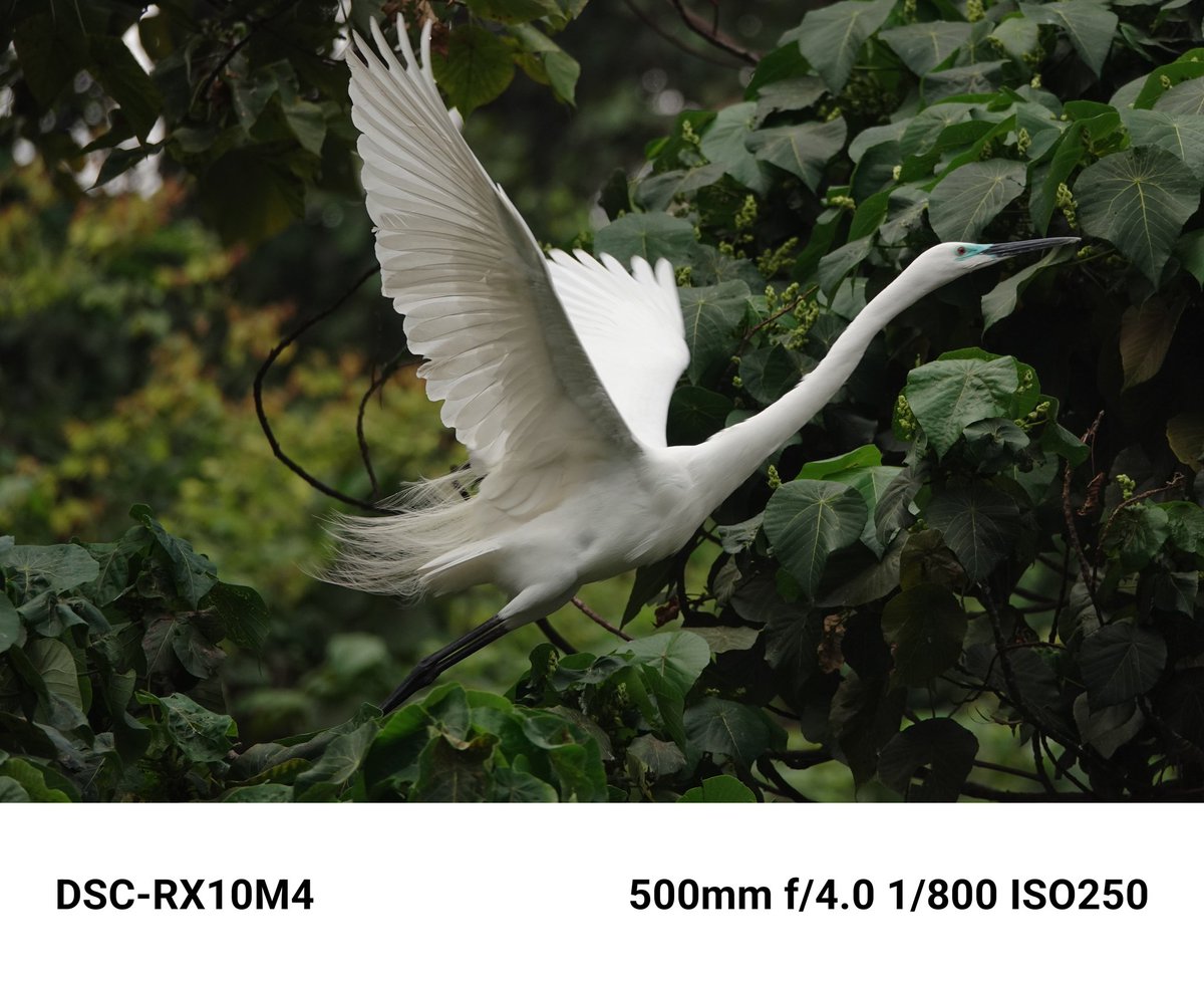 LEO LAU (@leolau2024) on Twitter photo 