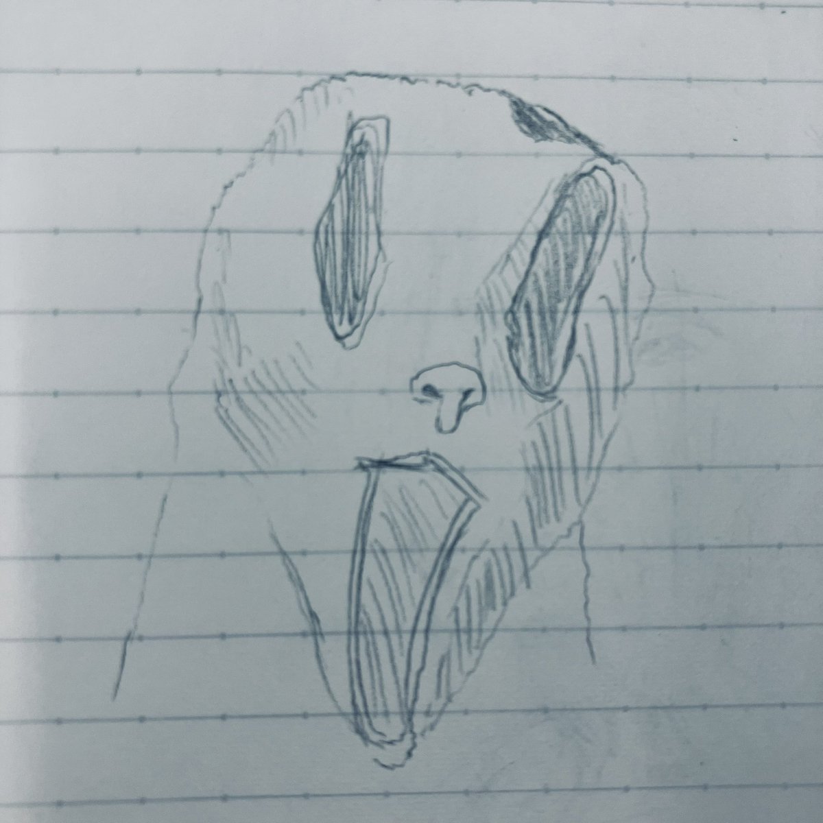 藤井波浪 tweet media