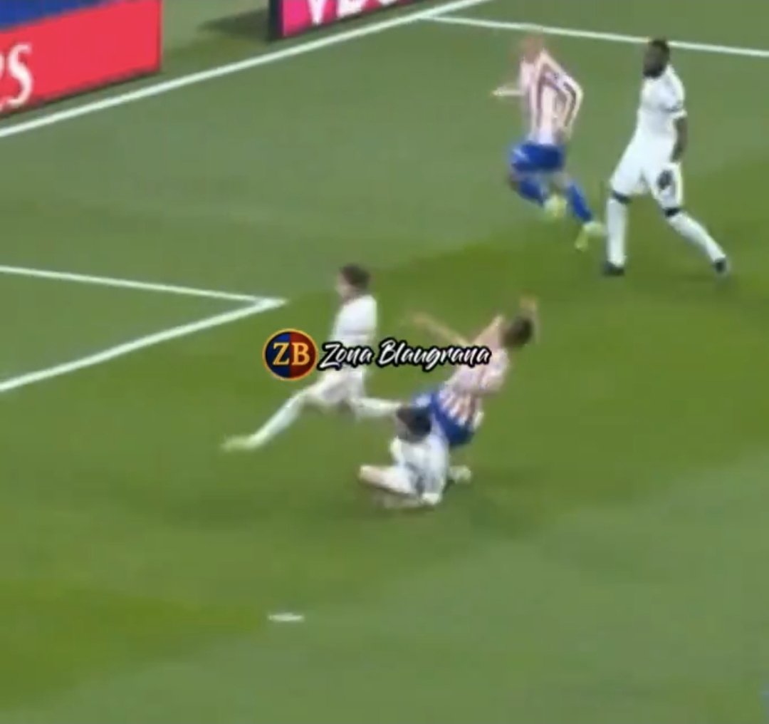 ALT 🇦🇷 tweet media