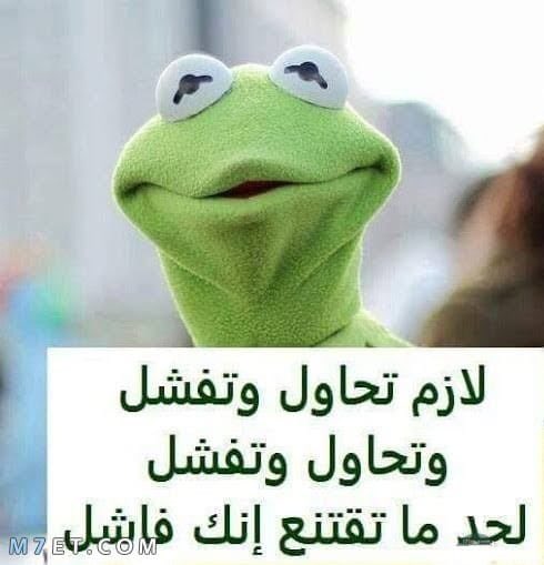 امام #الهلال استحوذ الاهلي على المباراه
وخسرها 😎😎😎
امام #بيراميدز استحوذ الاهلي على المباراه
وخسرها 😎😎😎
امام #القادسية استحوذ الاهلي على المباراه
وخسرها 😎😎

مبروك عليكم الاستحواذ 🤣🤣🤣🤣 واستمر
