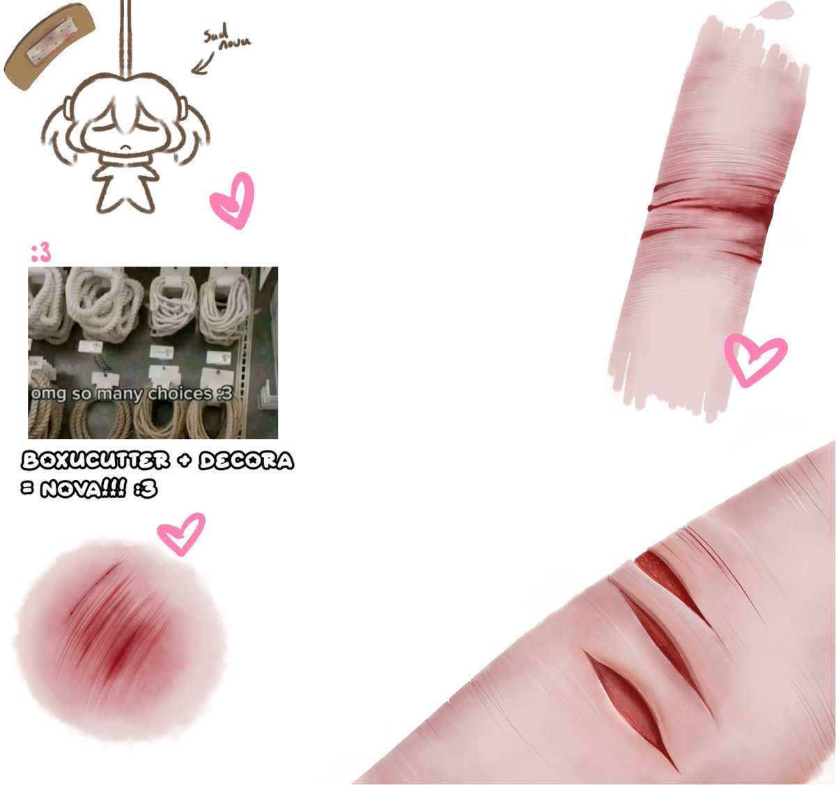 Nova | SHTWT tweet media