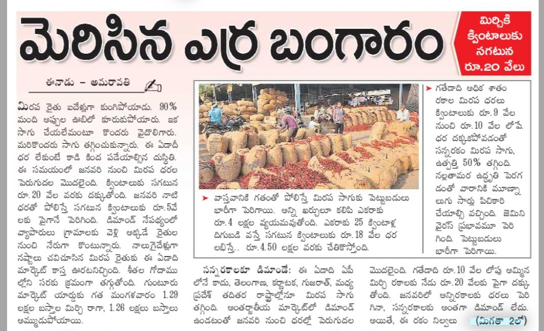 Swathireddytdp's tweet photo. మెరిసిన ఎర్ర బంగారం! 🌶️✨
గత నాలుగైదేళ్లుగా కష్టాల్లో ఉన్న మిరప రైతుకు ఈ ఏడాది అదృష్టం కలిసొచ్చింది. క్వింటాలుకు సగటున రూ. 20 వేల ధర లభిస్తుండటం చాలా సంతోషకరం. మన అన్నదాత ఇల్లు లాభాలతో నిండాలి! 🙏🌾
​#RedChilli #FarmerSuccess #MirchiMarket #GunturMirchi #Agriculture #AndhraPradesh #AgriNews