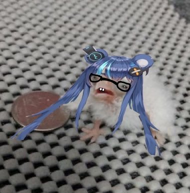 Uruka 🐻🎻 REAL BDAY 4/1 | Phase Connect tweet media