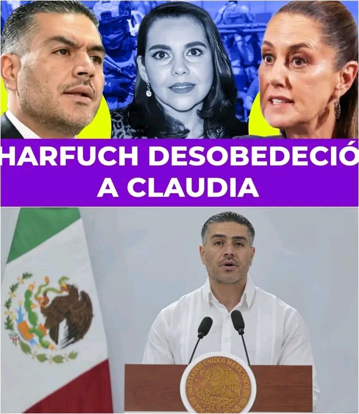 Contacto Revista tweet media