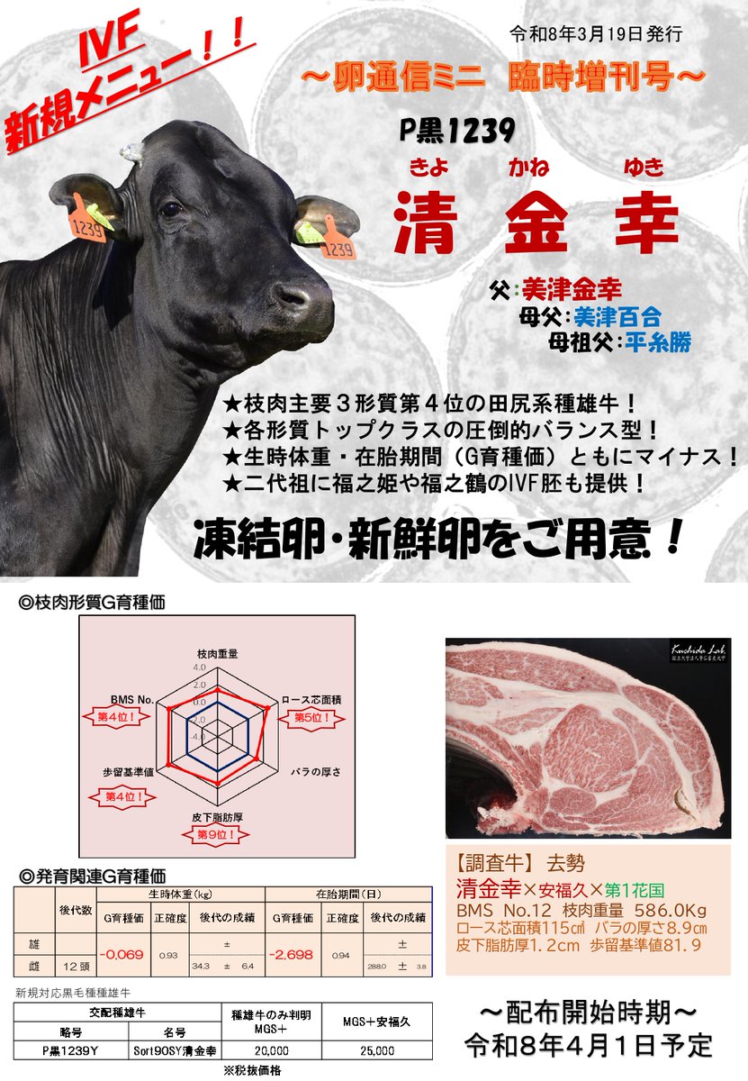 liaj_official's tweet image. ✏卵通信ミニ✉ 臨時増刊号を発刊✨

今回の内容は、「IVF新規メニュー！！」です🐂
ぜひご覧ください💁💡

詳細はこちら
👉x.gd/bSjHU

#体外受精卵 #受精卵移植 #IVF #卵通信ミニ