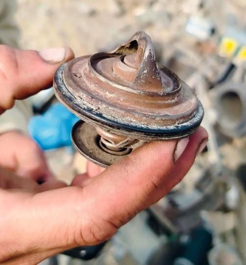 Connie 🇺🇸 tweet media