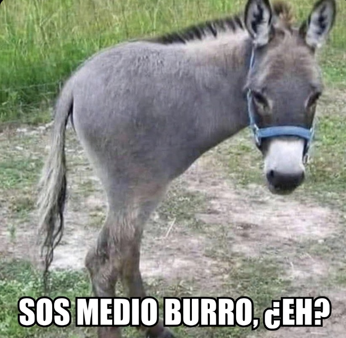 ALBERTO PERALTA tweet media