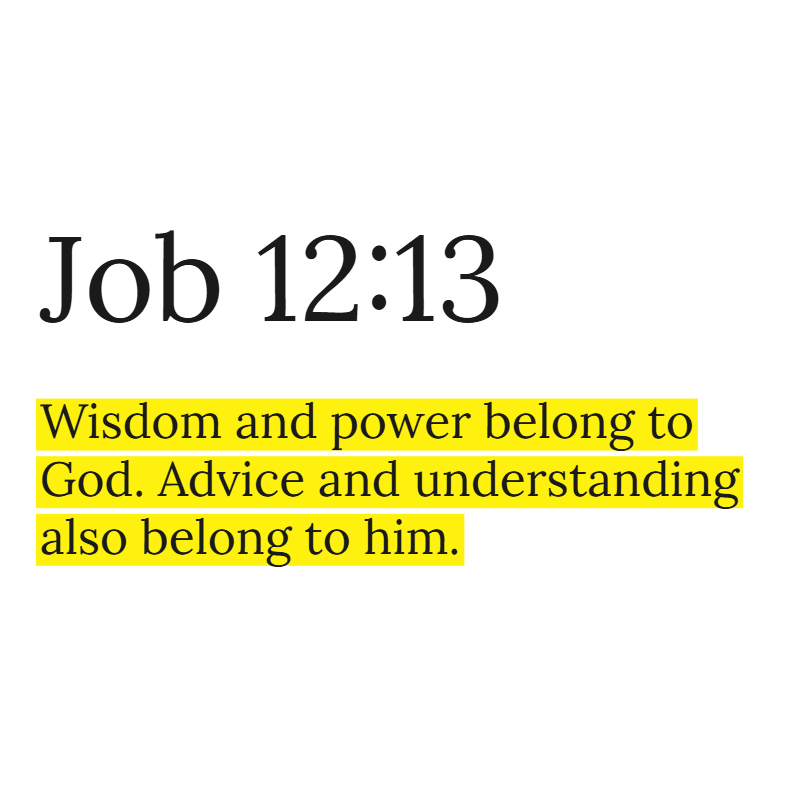 Holy Bible tweet media