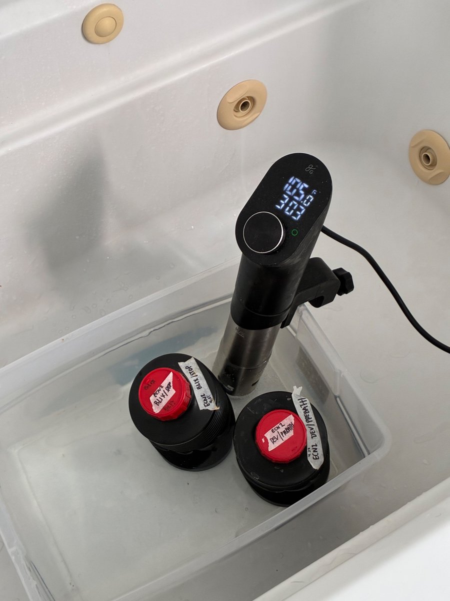 demi adejuyigbe tweet media