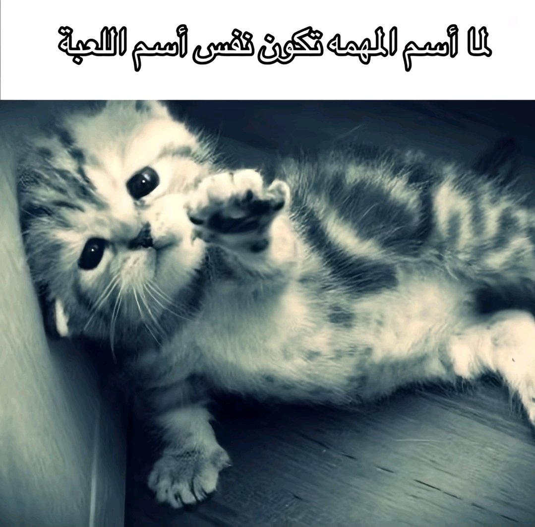 Muaath tweet media