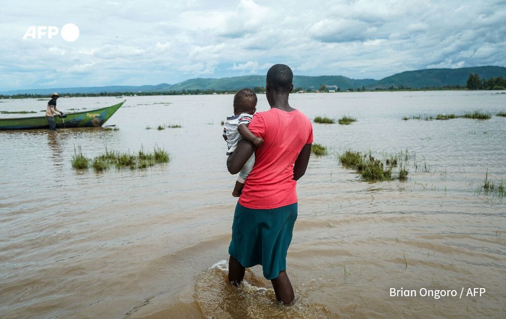 AFP News Agency tweet media