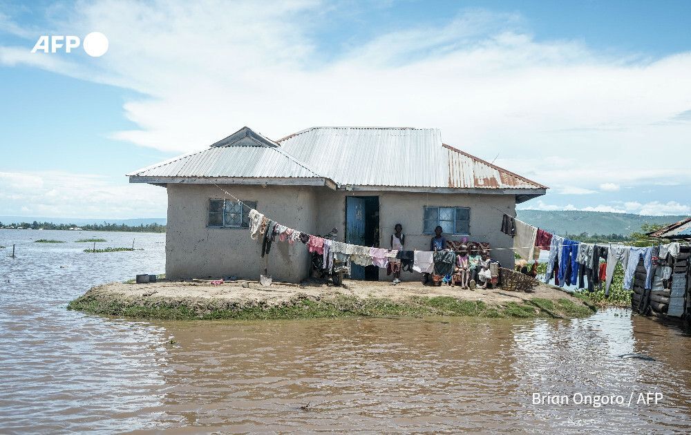 AFP News Agency tweet media