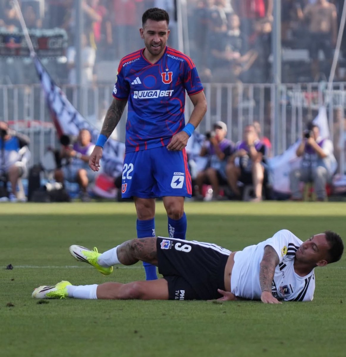 Alejandro QTA tweet media