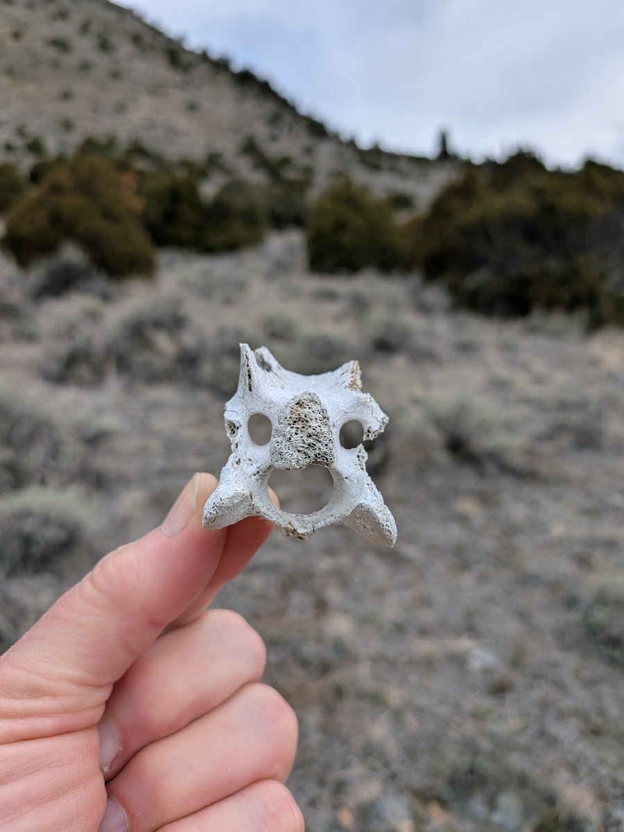 Heather Thomas tweet media