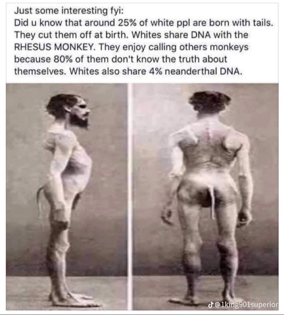 HATE white folks🐽 tweet media