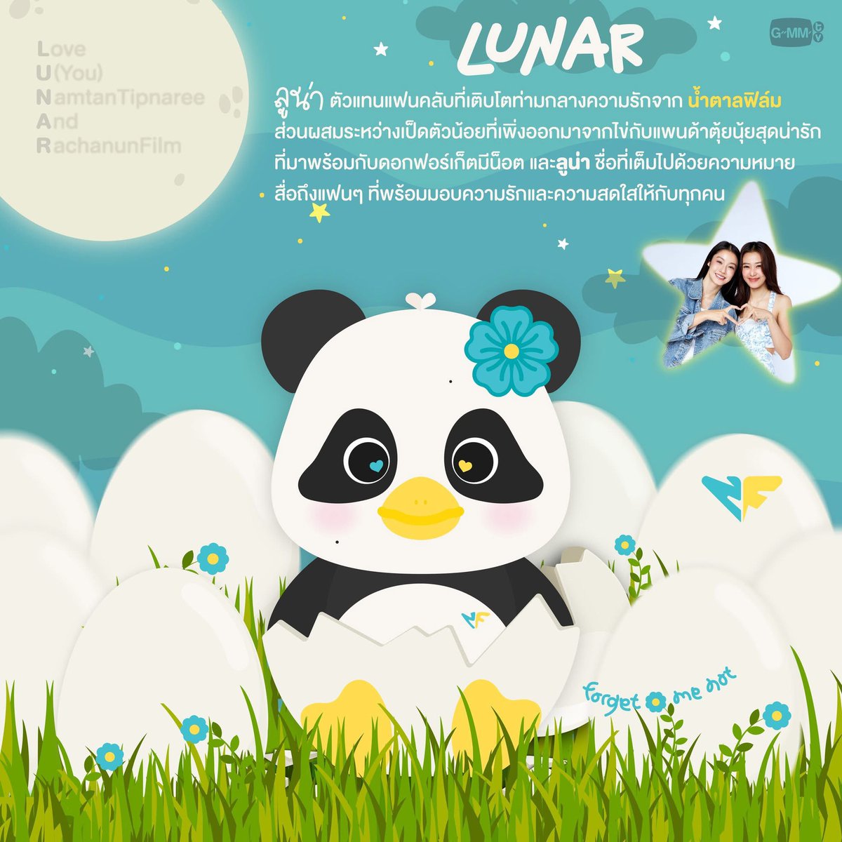 𝑯𝑰𝑲𝑨𝑹𝑼 🐯 tweet media