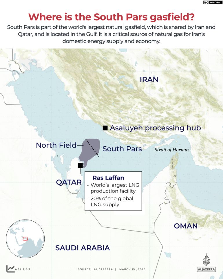 Carl Zha tweet media