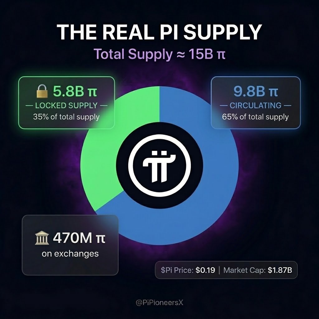 Whale Hunter tweet media