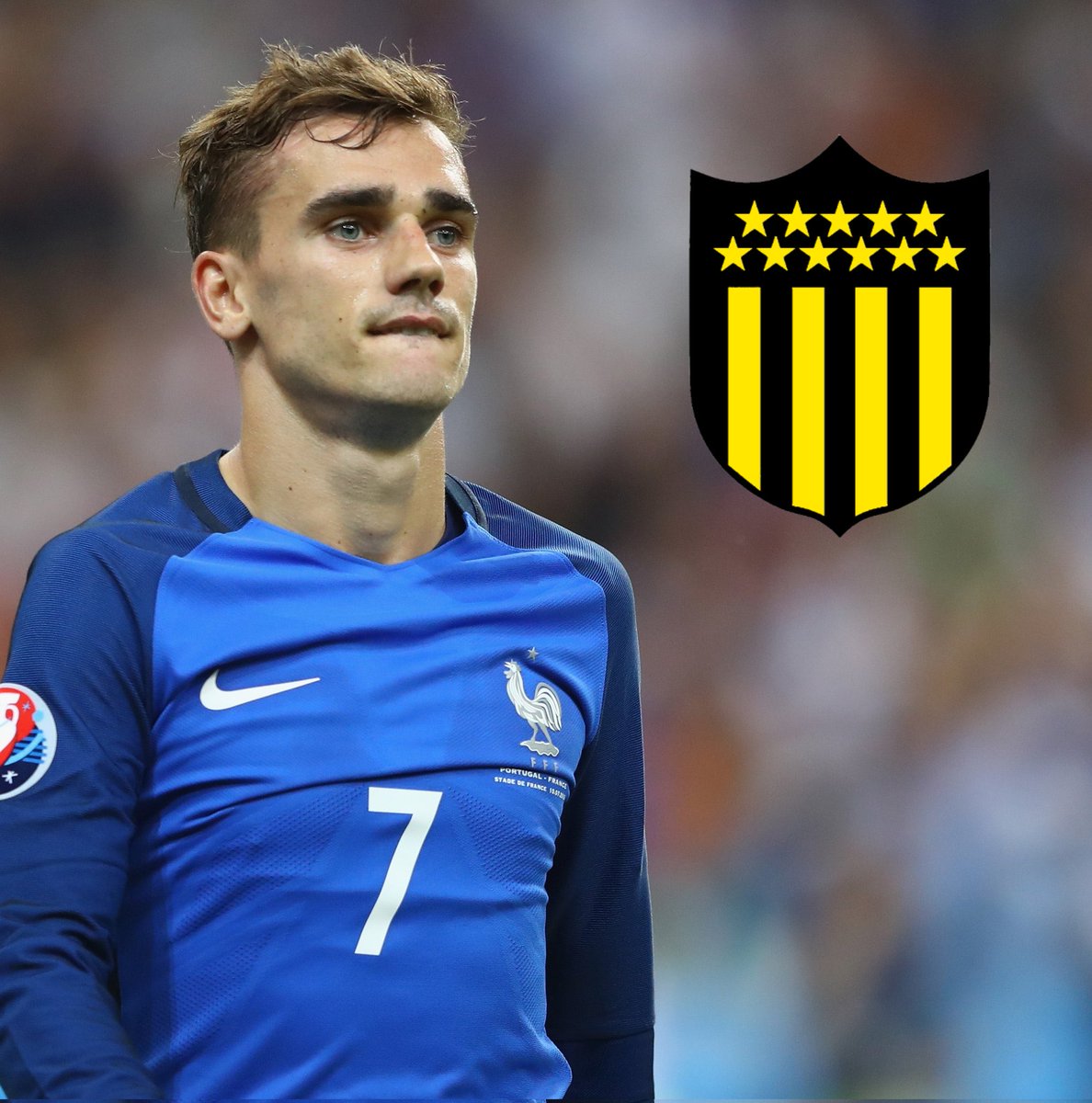 Cebolla 🧅 tweet media