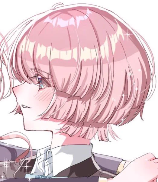 私の絵柄で 姫的お顔 王子的お顔